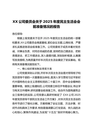 XX公司委员会关于2025年度民主生活会会前准备情况的报告