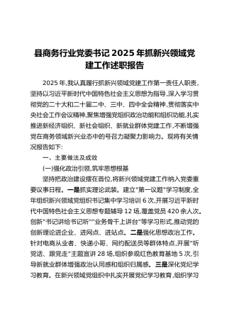县商务行业党委书记2025年抓新兴领域党建工作述职报告