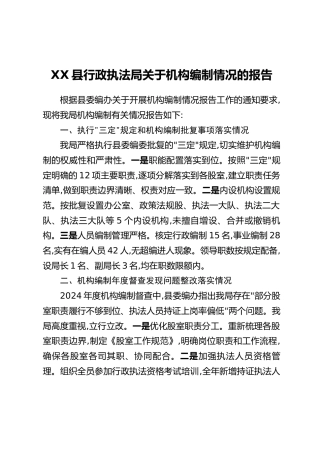 XX县行政执法局关于机构编制情况的报告