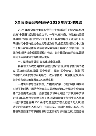 XX县委员会领导班子2025年度工作总结