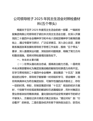 公司领导班子2025年民主生活会对照检查材料(五个带头)