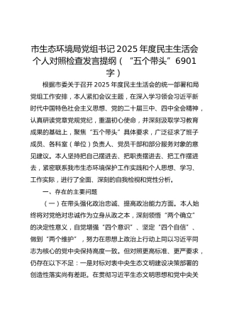 市生态环境局党组书记2025年度民主生活会个人对照检查发言提纲（“五个带头” 6901字）