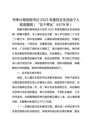 市审计局党组书记2025年度民主生活会个人发言提纲（“五个带头” 6379字）