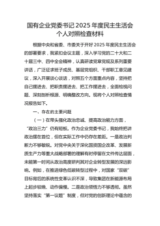 国企书记2025年度民主生活会个人对照检查材料
