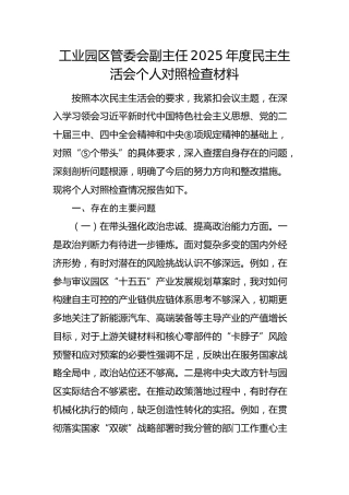 工业园区管委会副主任2025年度民主生活会个人对照检查材料