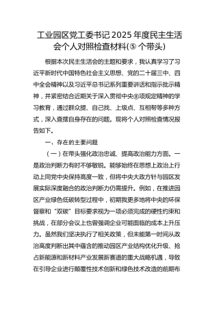 工业园区党工委书记2025年度民主生活会个人对照检查材料