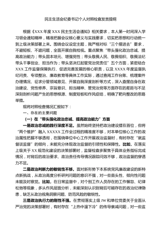 2025年民主生活会纪委书记个人对照检查发言提纲（班子成员发言提纲、五个带头）