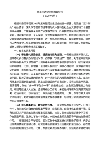 2025年班子成员民主生活会发言提纲（五个带头）（3）