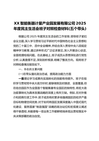 XX智能衡器计量产业园发展有限公司2025年度民主生活会班子对照检查材料(五个带头)