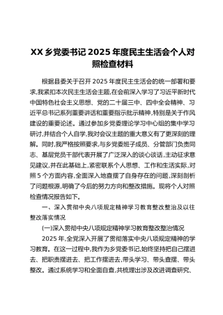 XX乡党委书记2025年度民主生活会个人对照检查材料