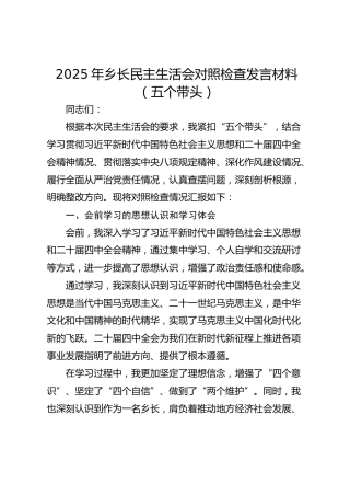 2025年乡长民主生活会对照检查发言材料（五个带头）