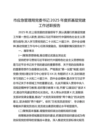 市应急管理局党委书记2025年度抓基层党建工作述职报告
