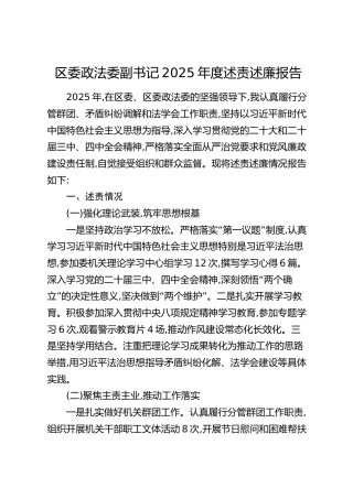 区委政法委副书记2025年度述责述廉报告
