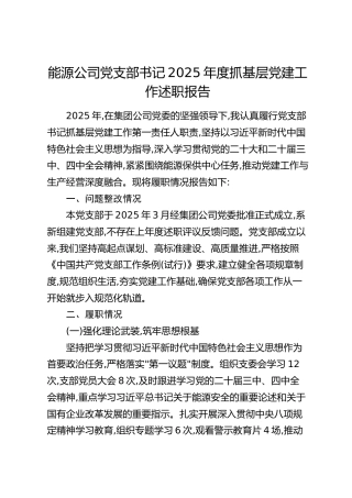 能源公司党支部书记2025年度抓基层党建工作述职报告