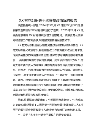 XX村党组织关于巡察整改情况的报告