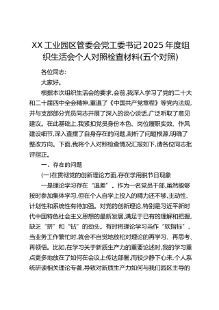 XX工业园区管委会党工委书记2025年度组织生活会个人对照检查材料（五个对照）