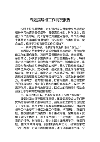 专题指导组工作情况报告