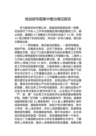统战部专题集中整治情况报告