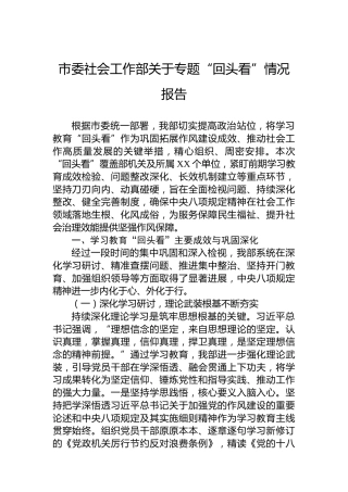 市委社会工作部关于专题“回头看”情况报告