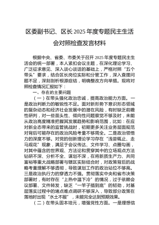 区委副书记、区长2025年度专题民主生活会对照检查发言材料