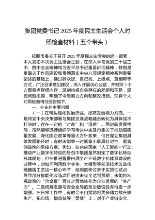 集团党委书记2025年度民主生活会个人对照检查材料（五个带头）