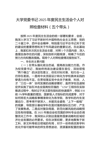 大学党委书记2025年度民主生活会个人对照检查材料（五个带头）