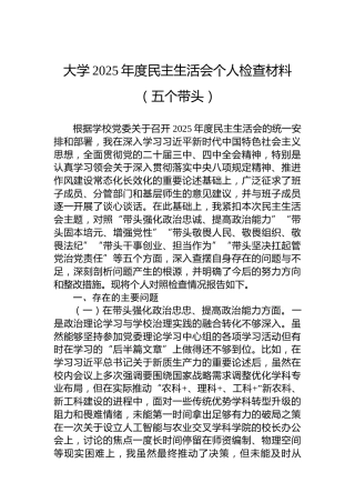大学2025年度民主生活会个人检查材料（五个带头）