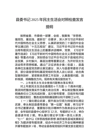 县委书记2025年民主生活会对照检查发言提纲