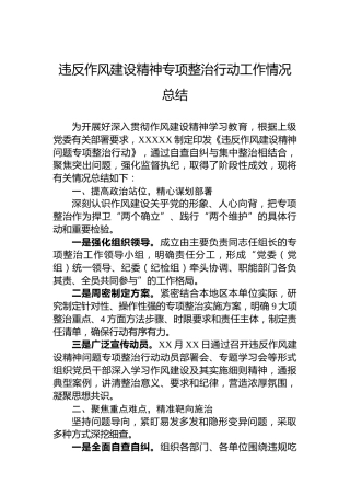 违反作风建设精神专项整治行动工作情况总结