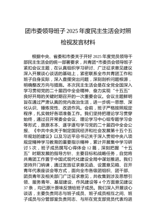 团市委领导班子2025年度民主生活会对照检视发言材料