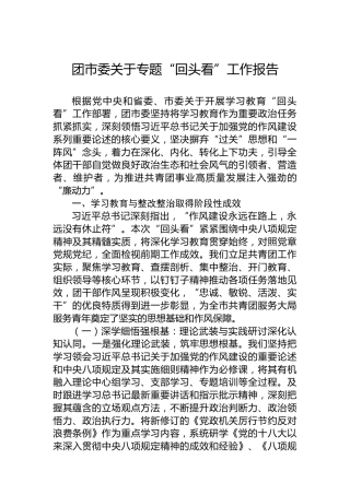 团市委关于专题“回头看”工作报告