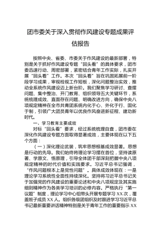 团市委关于深入贯彻作风建设专题成果评估报告