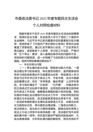市委政法委书记2025年度专题民主生活会个人对照检查材料