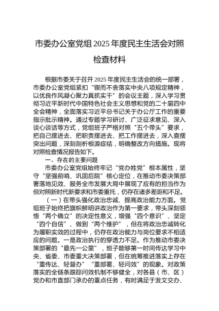 市委办公室党组2025年度民主生活会对照检查材料