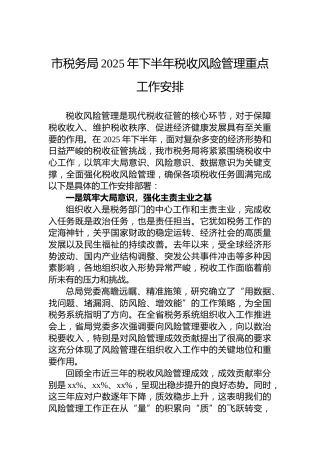 市税务局2025年下半年税收风险管理重点工作安排