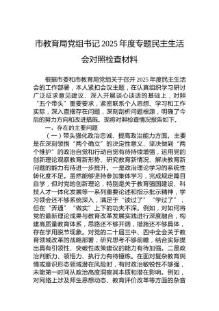 市教育局党组书记2025年度专题民主生活会对照检查材料