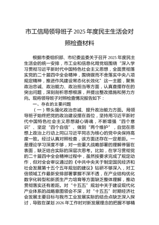 市工信局领导班子2025年度民主生活会对照检查材料