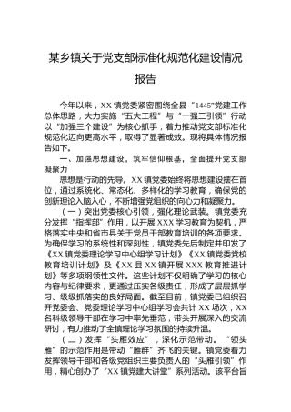 某乡镇关于党支部标准化规范化建设情况报告