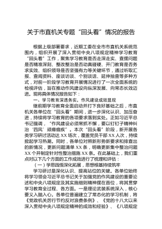关于市直机关专题“回头看”情况的报告