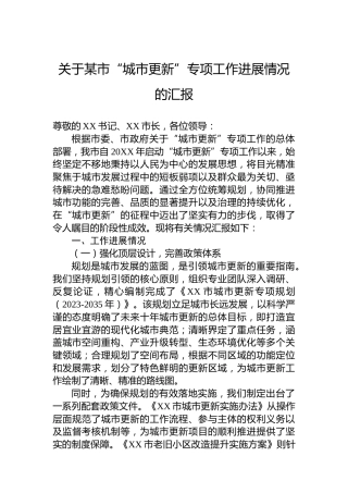 关于某市“城市更新”专项工作进展情况的汇报