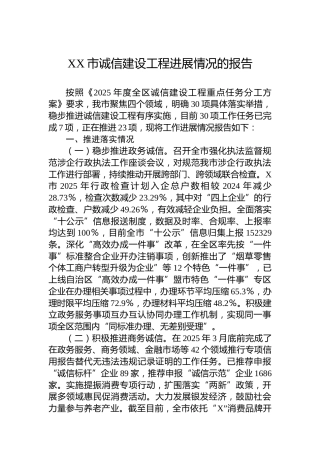 XX市诚信建设工程进展情况的报告
