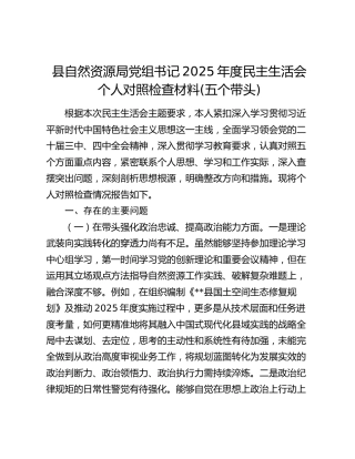 县自然资源局党组书记2025年度民主生活会个人对照检查材料(五个带头)
