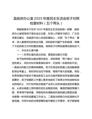 县政府办公室2025年度民主生活会班子对照检查材料（五个带头）