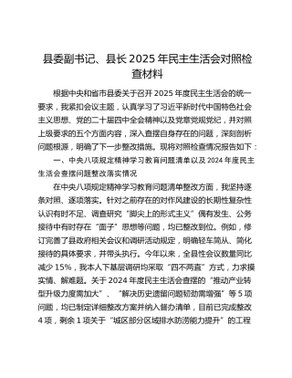 县委副书记、县长2025年民主生活会对照检查材料（八项规定精神学习教育问题清单以及上年度查摆问题整改落实情况+五个带头+典型案例剖析）