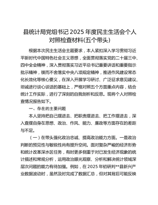 县统计局党组书记2025年度民主生活会个人对照检查材料(五个带头)