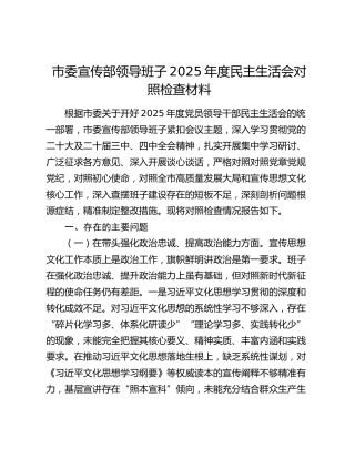 市委宣传部领导班子2025年度民主生活会对照检查材料（五个带头）