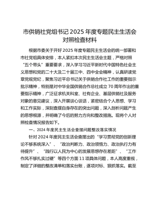 市供销社党组书记2025年度专题民主生活会对照检查材料（上年度查摆问题整改落实情况+五个带头）