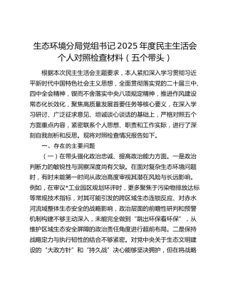 生态环境分局党组书记2025年度民主生活会个人对照检查材料（五个带头）