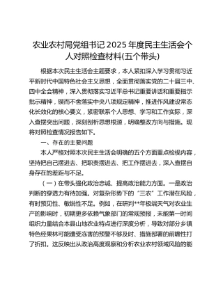 农业农村局党组书记2025年度民主生活会个人对照检查材料(五个带头)