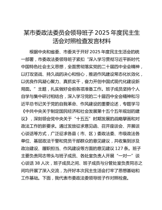 某市委政法委员会领导班子2025年度民主生活会对照检查发言材料（贯彻落实八项规定精神情况+五个带头+典型案例剖析）